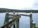 auckland (38)